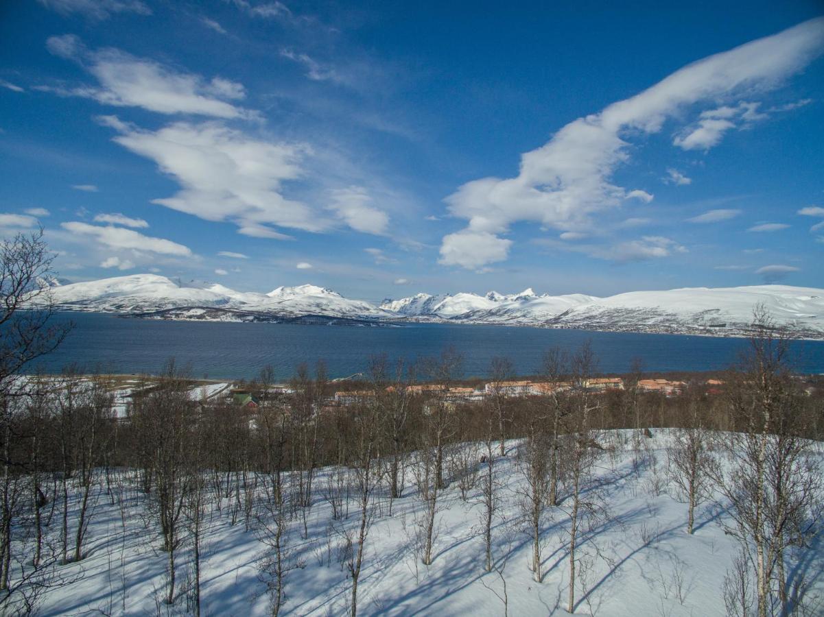 Enter Tromso - The Mountain View Apartment Екстериор снимка